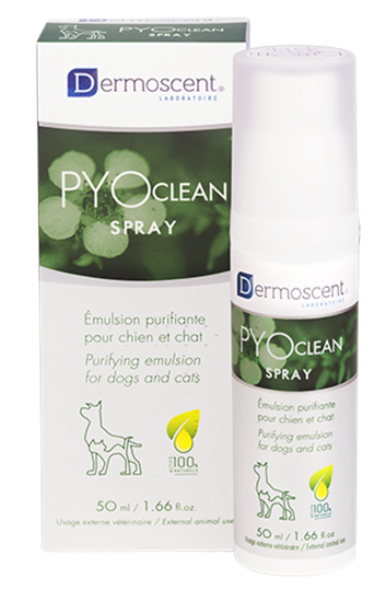 PYOclean Spray_2147483647