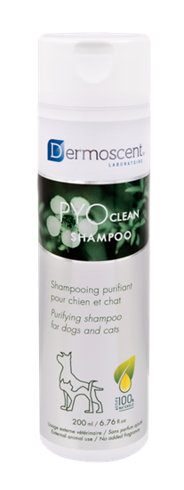 PYOclean Shampoo_2147483647