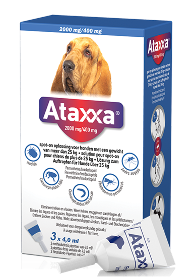 Ataxxa 2000 mg/400 mg Spot On für Hunde >25 kg_2147483647