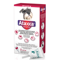 Ataxxa 1250 mg/250 mg Spot On für Hunde 10-25 kg_1