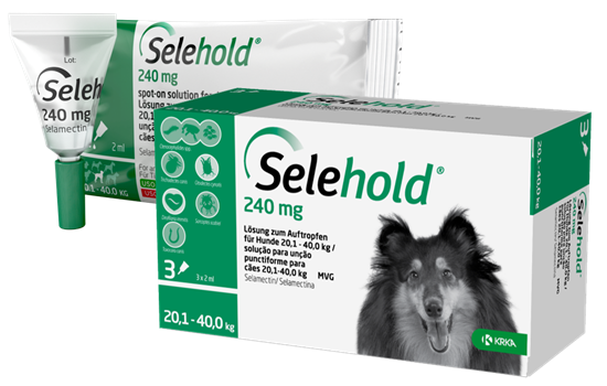 Selehold 240 mg Lsg. f. Hunde 20,1 – 40,0 kg_2147483647