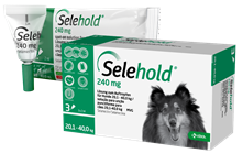 Selehold 240 mg Lsg. f. Hunde 20,1 - 40,0 kg_1