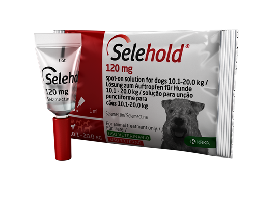 Selehold 120 mg Lsg. f. Hunde 10,1 – 20,0 kg_2147483647