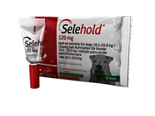 Selehold 120 mg Lsg. f. Hunde 10,1 - 20,0 kg_1