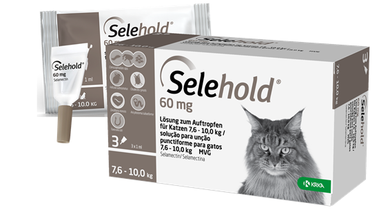 Selehold 60 mg Lsg. f. Katzen 7,6 – 10,0 kg_2147483647