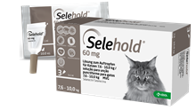 Selehold 60 mg Lsg. f. Katzen 7,6 - 10,0 kg_1