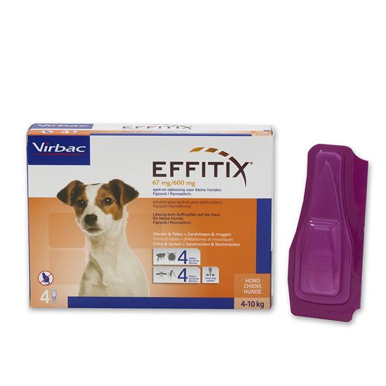 Effitix 67/600 mg Hund S_2147483647