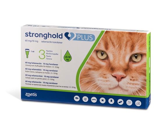 Stronghold Plus 60mg Katze 5-10kg_2147483647