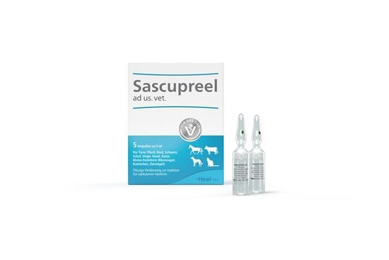 Sascupreel ad us. Vet._2147483647