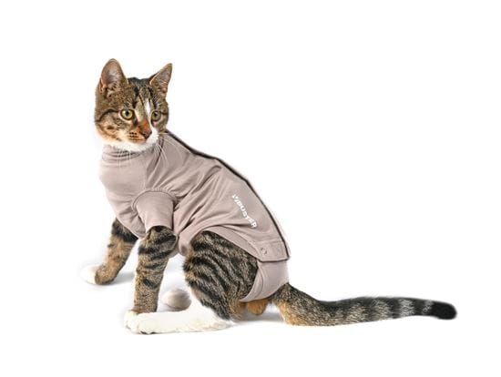 BUSTER Body Suit Step'n go für Katzen_2147483647