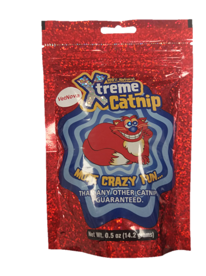 X-Treme Catnip - Nepeta Cataria_0