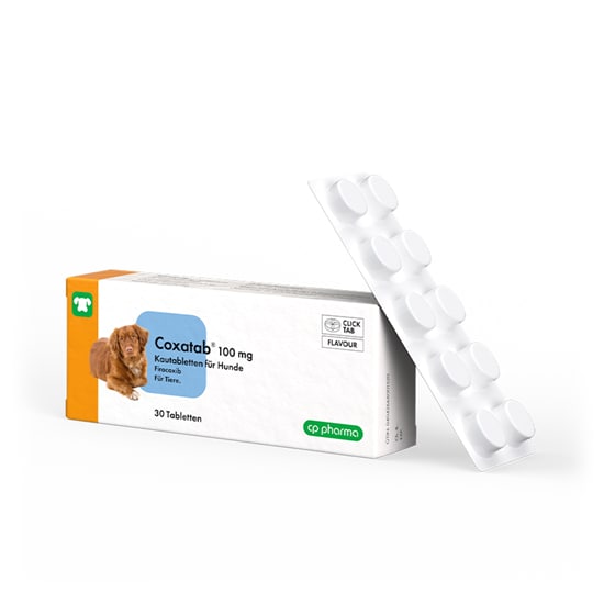 Coxatab 100 mg Kautabletten für Hunde_2147483647