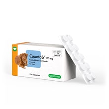 Coxatab 100 mg Kautabletten für Hunde_1