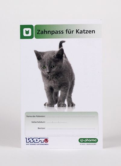 Zahnpass Katze_0