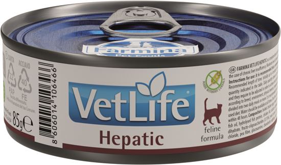 Farmina VetLife Hepatic Nassfutter Katze_2147483647