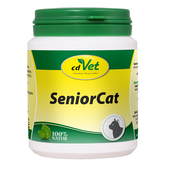 SeniorCat_2147483647