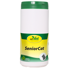 SeniorCat_0