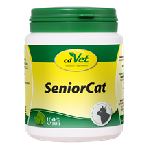 SeniorCat_0