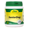 SeniorDog_0