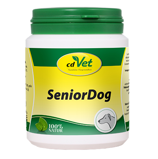 SeniorDog_0