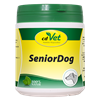 SeniorDog_1