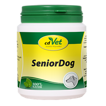 SeniorDog_0