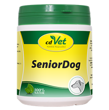 SeniorDog_0