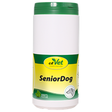 SeniorDog_0