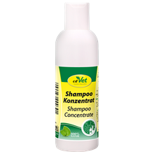 Shampoo Konzentrat_2147483647