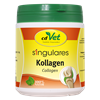 Singulares Kollagen_0