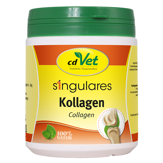 Singulares Kollagen_0