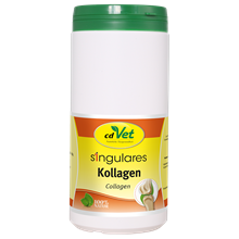 Singulares Kollagen_0