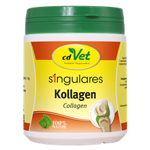 Singulares Kollagen_0