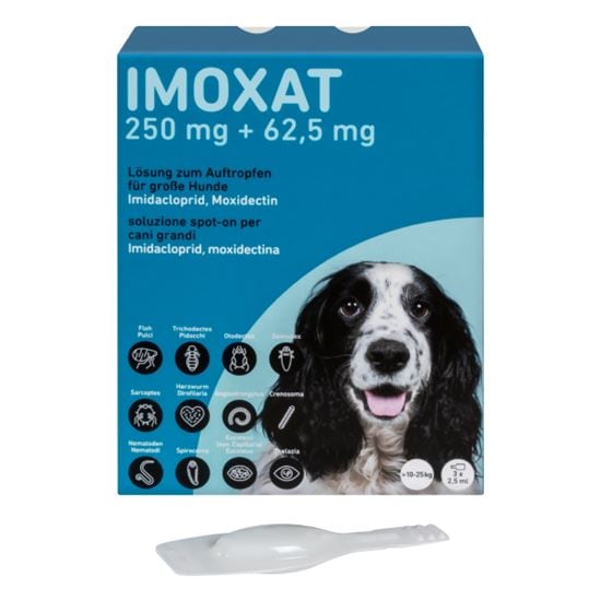 Imoxat 250 mg + 62,5 mg Pipetten_2147483647