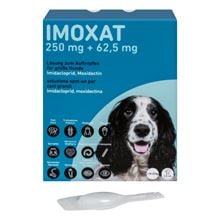 Imoxat 250 mg + 62,5 mg Pipetten_1