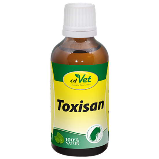 Toxisan_2147483647