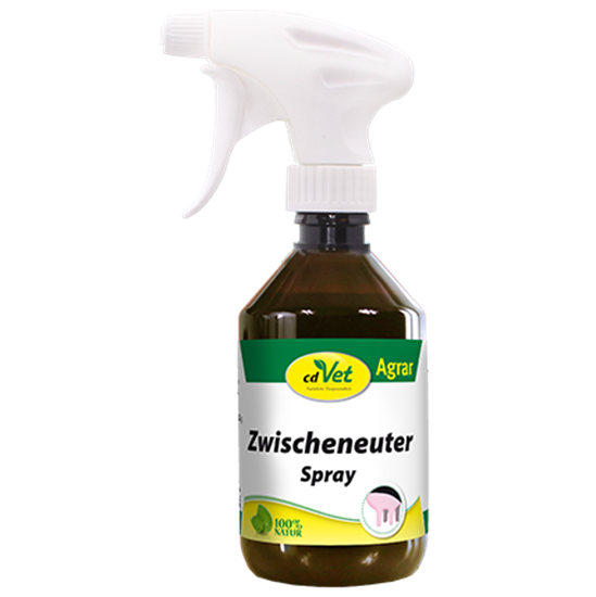 Zwischeneuter Spray_2147483647