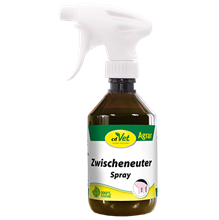 Zwischeneuter Spray_0