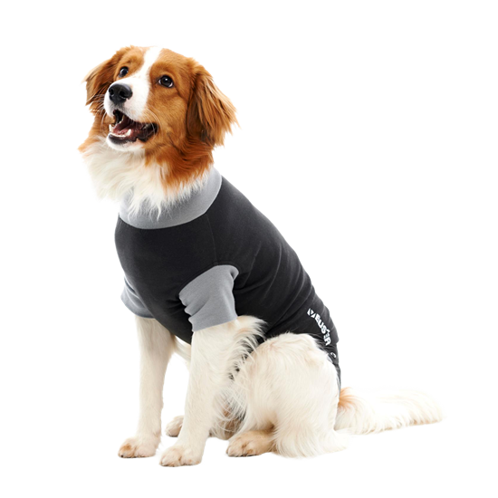 BUSTER Body Suit EasyGo für Hunde_2147483647