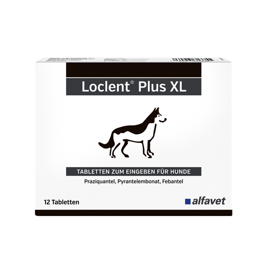 Loclent Plus XL Tabletten_1