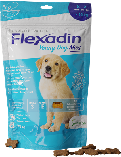 Flexadin Young Dog Maxi_0