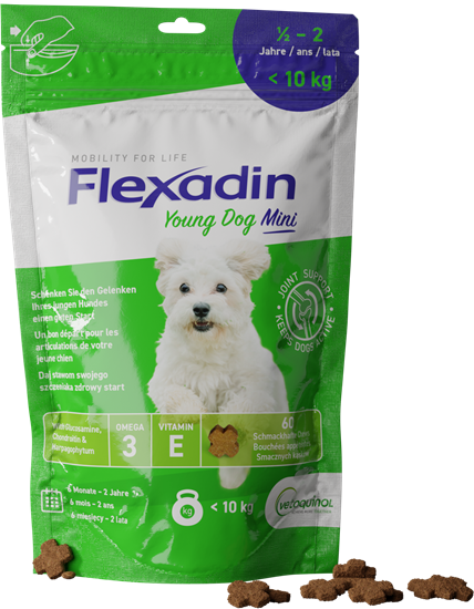 Flexadin Young Dog Mini_0