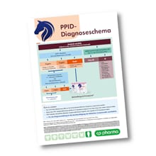 Prasequine Diagnoseschema_0