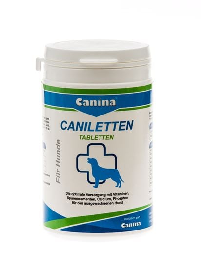 Caniletten_0