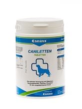 Caniletten_0