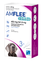 Amflee Combo 402 mg/361,8 mg sehr gr. Hunde_1