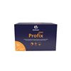 Profix + BIND_2147483647