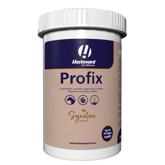 Profix_2147483647