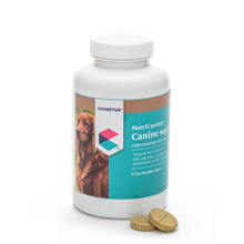 NutriCareVet Liver support für Hunde_2147483647