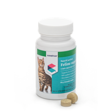 NutriCareVet Gastro support für Katzen_2147483647